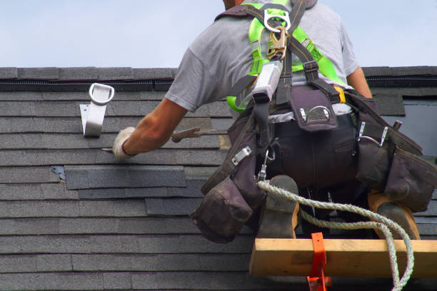 Best Shingle Roofing Installation  in St Elmo, IL