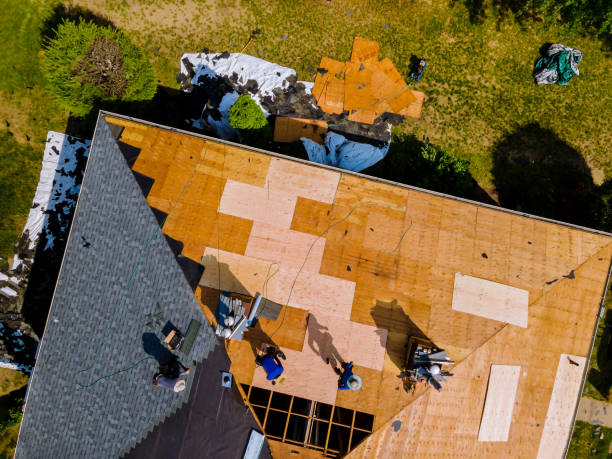 Best Roof Gutter Cleaning  in St Elmo, IL
