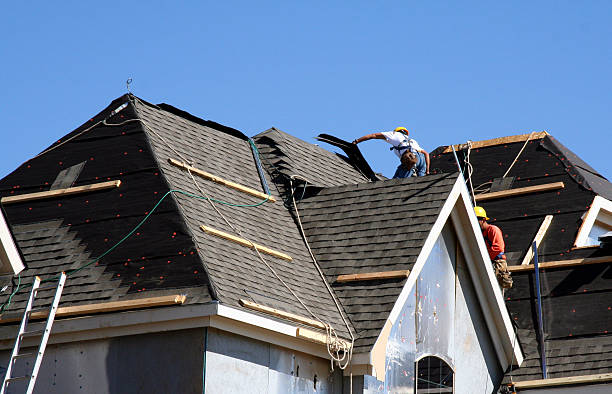 Best Metal Roofing Contractor  in St Elmo, IL