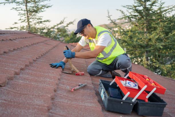 Best Roof Repair Estimates  in St Elmo, IL