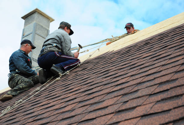 Best Commercial Roofing Services  in St Elmo, IL