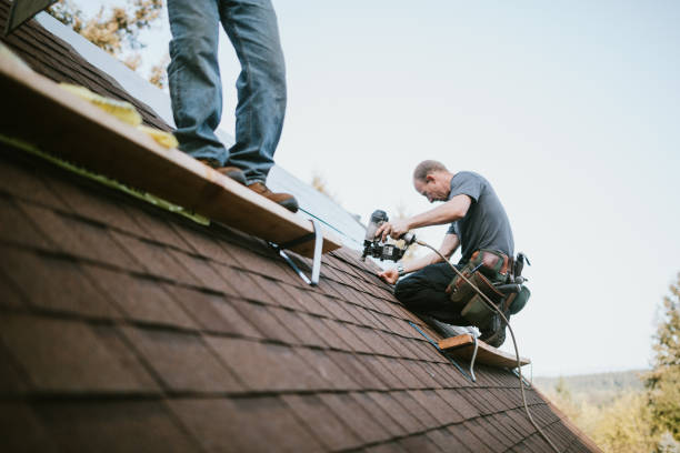 Best Roof Restoration Services  in St Elmo, IL
